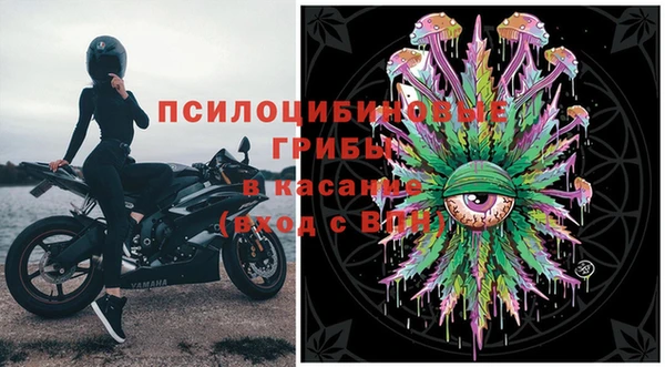 ПСИЛОЦИБИНОВЫЕ ГРИБЫ Красноперекопск